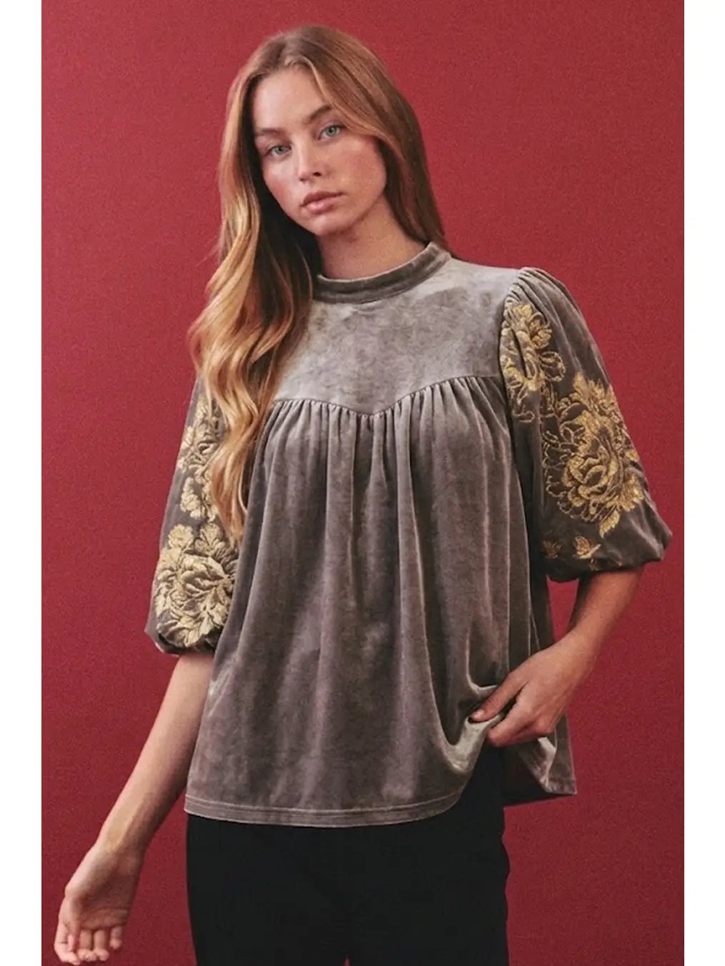 Velvet Embroidery Sleeve Blouse