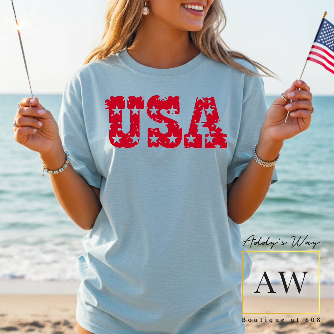 Chambray USA Tee