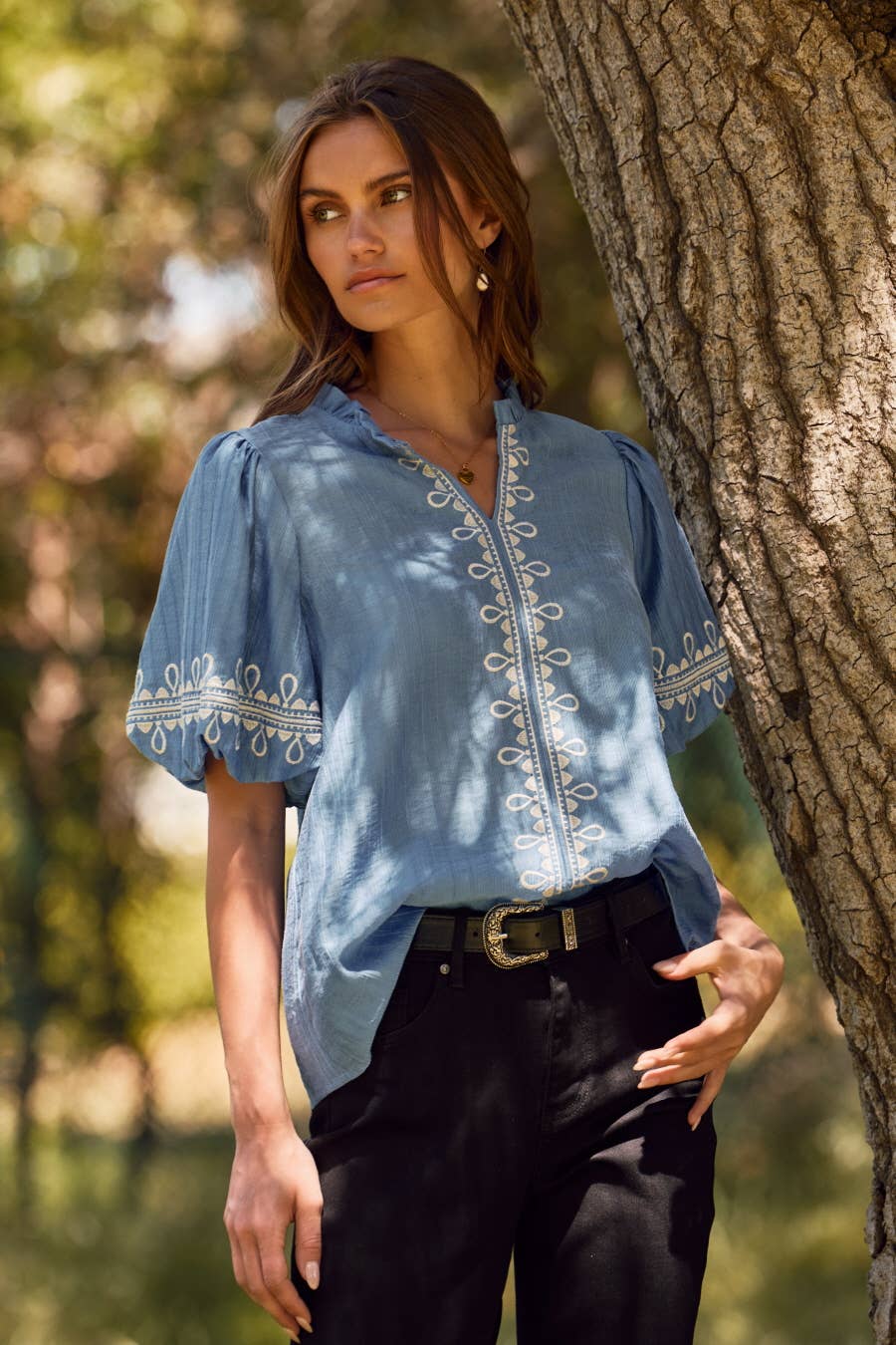 Embroidered Bubble Sleeve Blouse